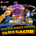 Panduan Bermain Slot Fan Rong Online